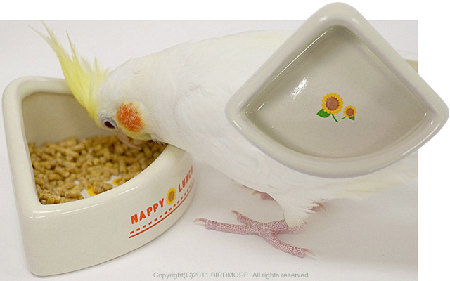9993243【サンコー】ハッピーディッシュ/コーナーS 鳥専門店 BIRD MORE
