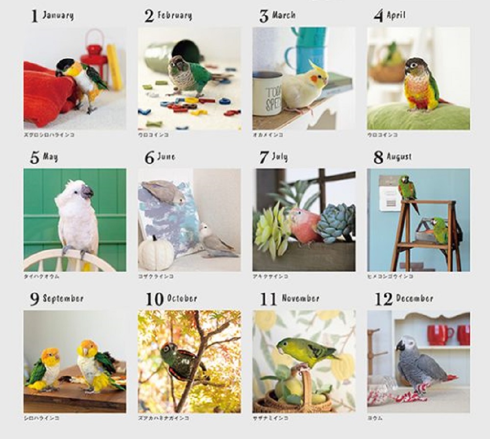 飼鳥用品専門店BIRDMORE（バードモア）/【誠文堂新光社】2026年 大判