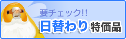 日替わり特価品